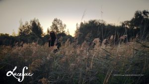 Laceface stands in a reedy marsh. Is she any closer to finding what she's looking for? A still from Laceface's video for Stitch