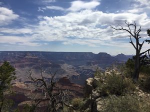 My first view of the Grand Canyon! Awesome!